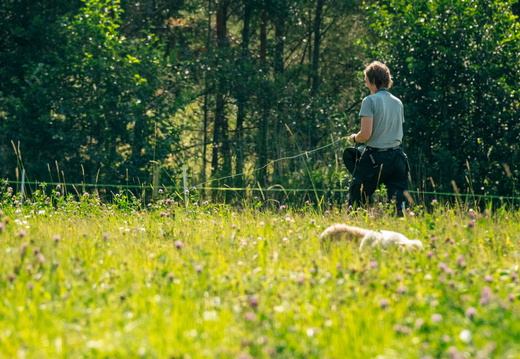 CATTB CA Houtskär Lammasloma DSC05142 hires