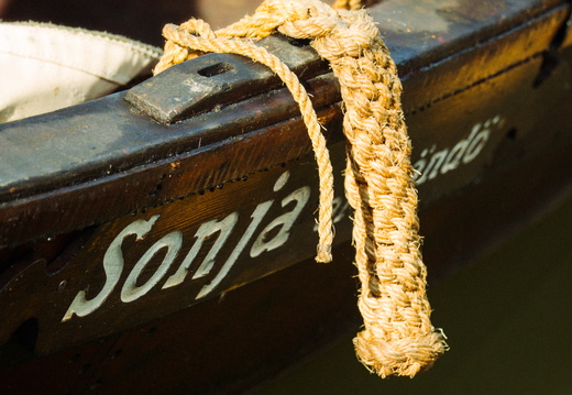 CATTB CA TourDeSkiftet DSC07845 hires