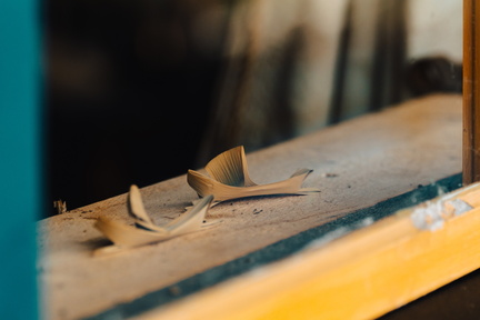 CATTB CA TourDeSkiftet DSC07841 hires