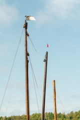 CATTB CA TourDeSkiftet DSC07836 hires