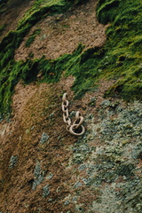 CATTB CA TourDeSkiftet DSC07779 hires