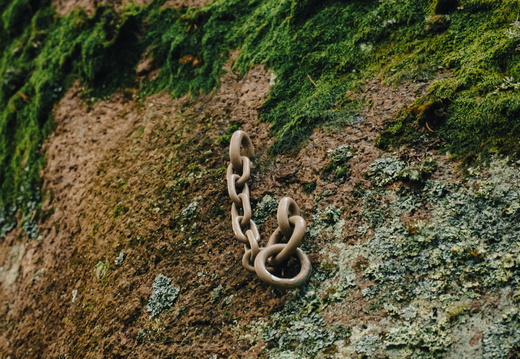 CATTB CA TourDeSkiftet DSC07779 hires