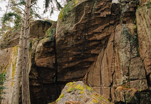 CATTB CA TourDeSkiftet CAP08153 hires