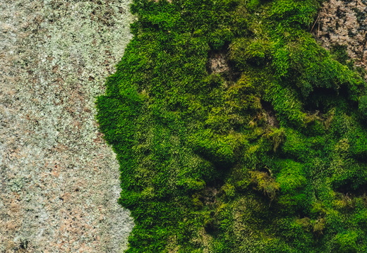 CATTB CA TourDeSkiftet DSC07775 hires