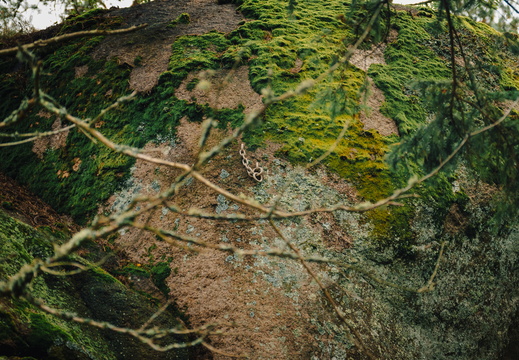 CATTB CA TourDeSkiftet DSC07771 hires