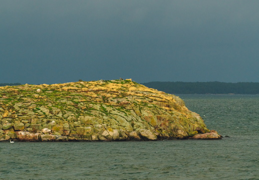 CATTB CA TourDeSkiftet DSC07747 hires