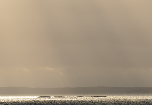 CATTB CA TourDeSkiftet DSC07685 hires