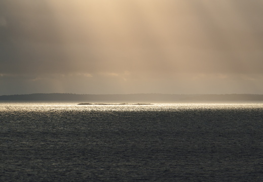 CATTB CA TourDeSkiftet DSC07679 hires