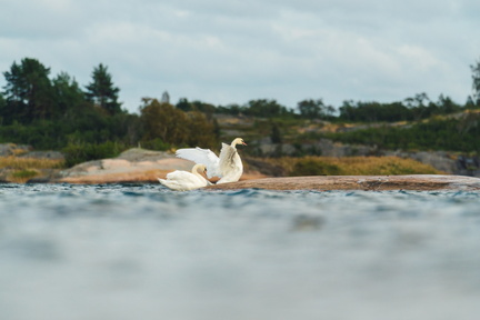 CATTB CA TourDeSkiftet DSC07667 hires