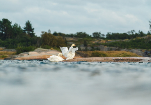 CATTB CA TourDeSkiftet DSC07666 hires