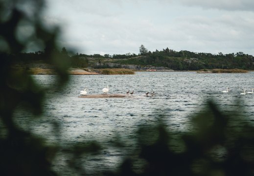 CATTB CA TourDeSkiftet DSC07651 hires