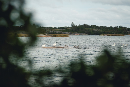 CATTB CA TourDeSkiftet DSC07651 hires