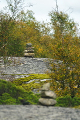 CATTB CA TourDeSkiftet DSC07635 hires