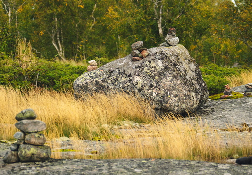CATTB CA TourDeSkiftet DSC07632 hires