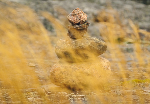 CATTB CA TourDeSkiftet DSC07624 hires