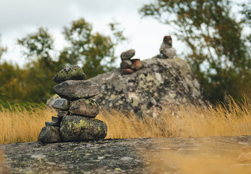 CATTB CA TourDeSkiftet DSC07623 hires