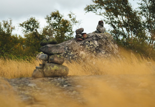 CATTB CA TourDeSkiftet DSC07622 hires