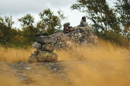 CATTB CA TourDeSkiftet DSC07622 hires