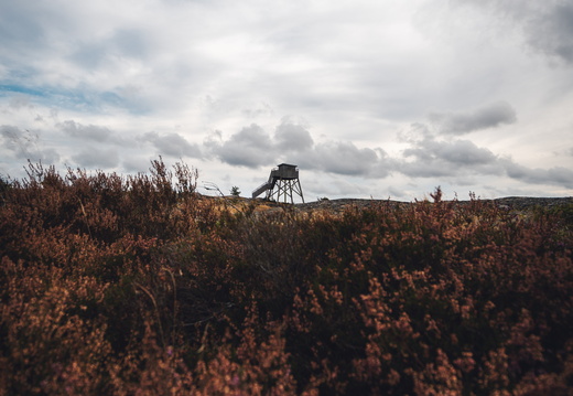 CATTB CA TourDeSkiftet CAP08047 hires