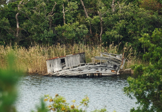 CATTB CA TourDeSkiftet DSC07612 hires