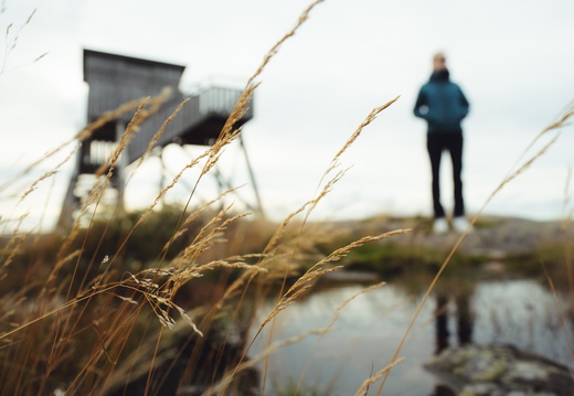 CATTB CA TourDeSkiftet CAP08015 hires