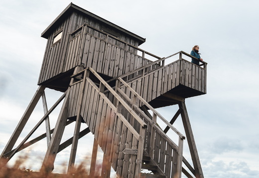 CATTB CA TourDeSkiftet CAP07991 hires