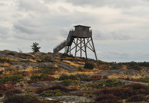 CATTB CA TourDeSkiftet CAP07979 hires