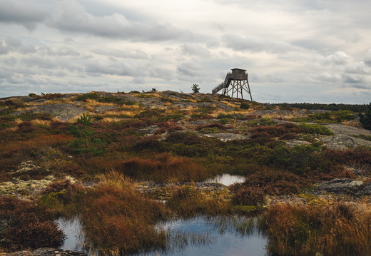 CATTB CA TourDeSkiftet CAP07978 hires