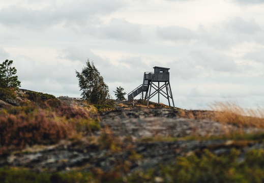 CATTB CA TourDeSkiftet DSC07598 hires