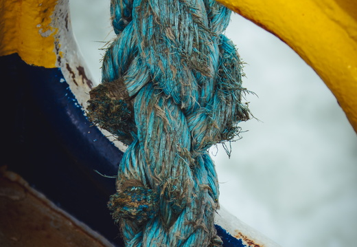 CATTB CA TourDeSkiftet DSC07582 hires