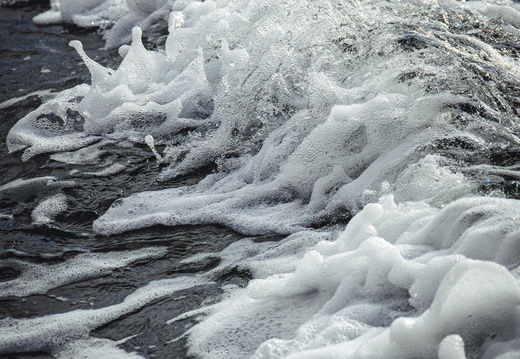 CATTB CA TourDeSkiftet DSC07535 hires