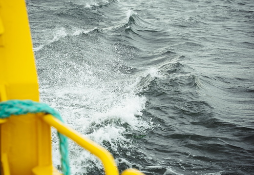 CATTB CA TourDeSkiftet CAP07887 hires