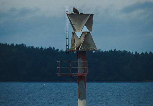 CATTB CA TourDeSkiftet DSC07508 hires