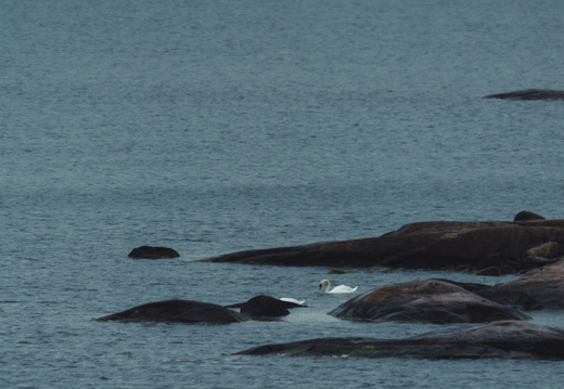 CATTB CA TourDeSkiftet DSC07493 hires