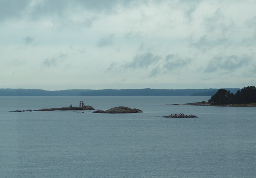 CATTB CA TourDeSkiftet DSC07491 hires