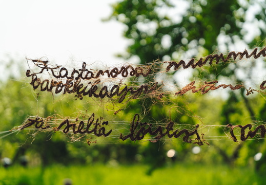 CATTB CA StKarins CAP00062 hires