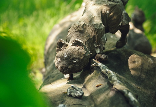 CATTB CA StKarins DSC09666 hires