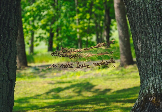 CATTB CA StKarins DSC09645 hires