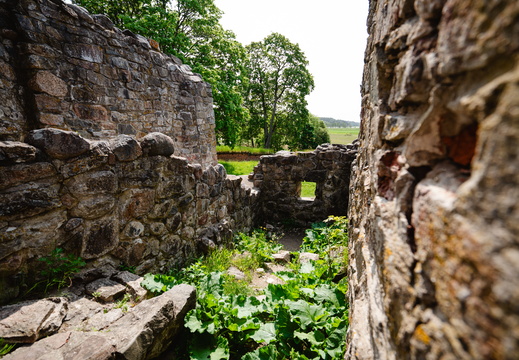 CATTB CA StKarins CAP09886 hires