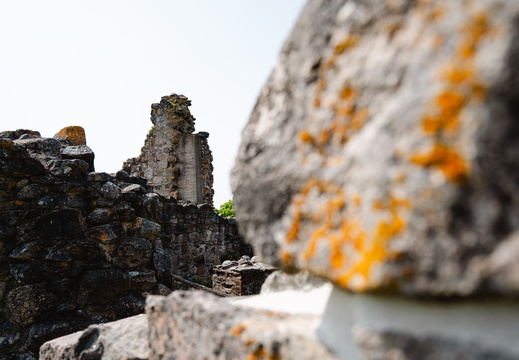 CATTB CA StKarins CAP09882 hires