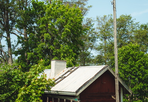 CATTB CA StKarins CAP09855 hires