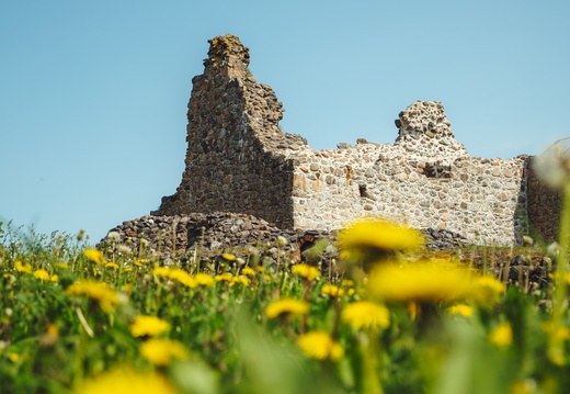 CATTB CA StKarins CAP09859 hires