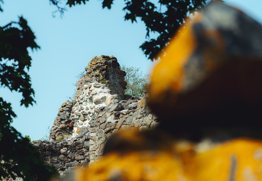 CATTB CA StKarins DSC09603 hires