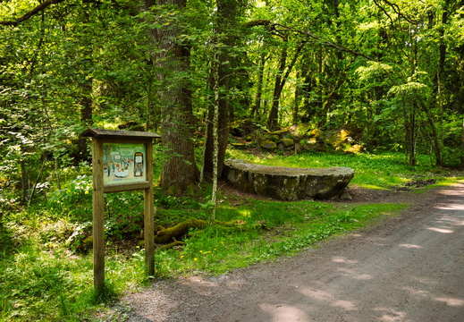 CATTB CA StKarins CAP09843 hires