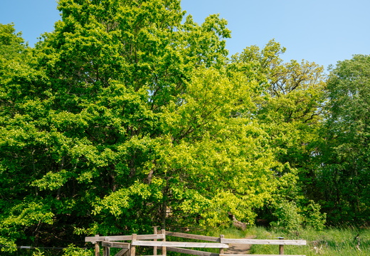 CATTB CA StKarins CAP09839 hires