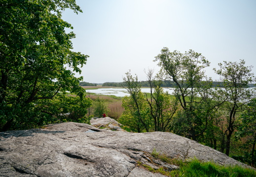 CATTB CA StKarins CAP09832 hires