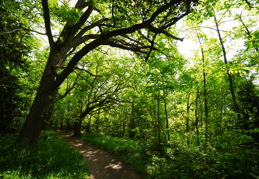 CATTB CA StKarins CAP09819 hires