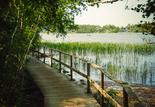 CATTB CA StKarins CAP09802 hires