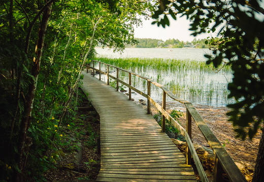 CATTB CA StKarins CAP09801 hires