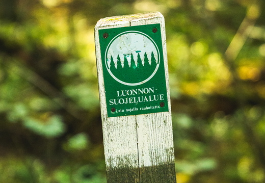 CATTB CA StKarins CAP09788 hires